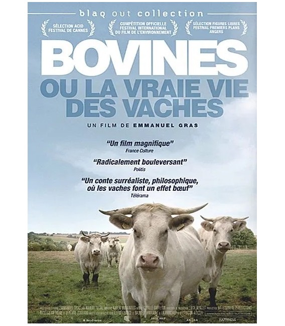 Bovines ou la vraie vie des vaches