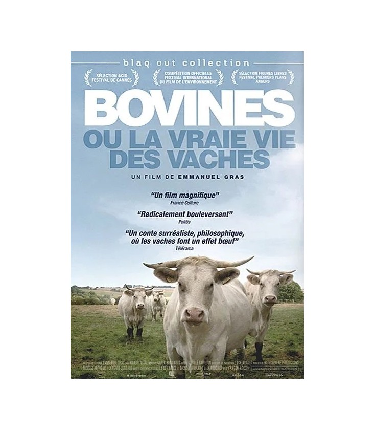 Bovines ou la vraie vie des vaches