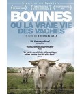 Bovines ou la vraie vie des vaches