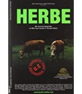 Herbe