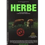 The Messenger (Le silence des oiseaux)