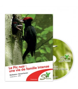 Le Pic noir : une vie de famille intense