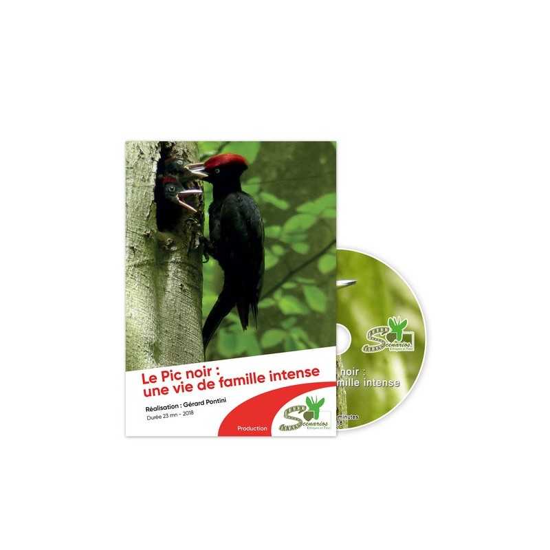 Le Pic noir : une vie de famille intense