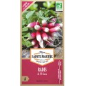 Radis de 18 Jours - Semences reproductibles bio