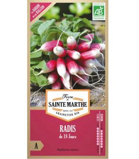 Radis de 18 Jours - Semences reproductibles bio