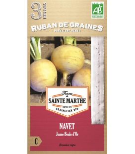 Navet Jaune Boule d'Or - Semences reproductibles bio