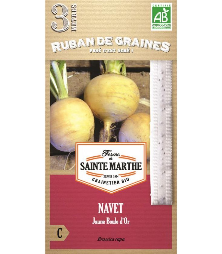 Navet Jaune Boule d'Or - Semences reproductibles bio