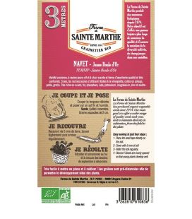 Navet Jaune Boule d'Or - Semences reproductibles bio