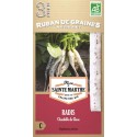 Radis Chandelle de Glace - Semences reproductibles bio
