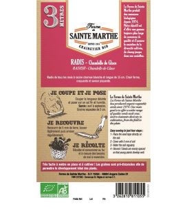 Radis Chandelle de Glace - Semences reproductibles bio