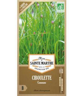 Ciboulette Commune - Semences reproductibles bio