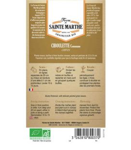 Ciboulette Commune - Semences reproductibles bio