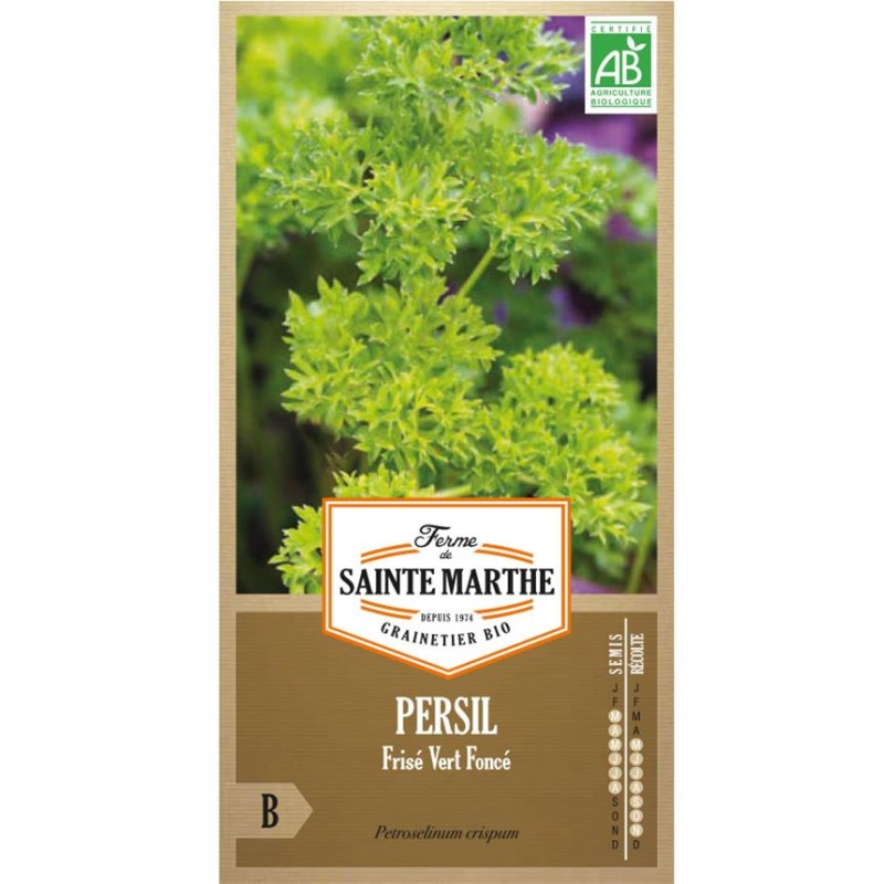 RUBAN DE MÂCHE Vit AB