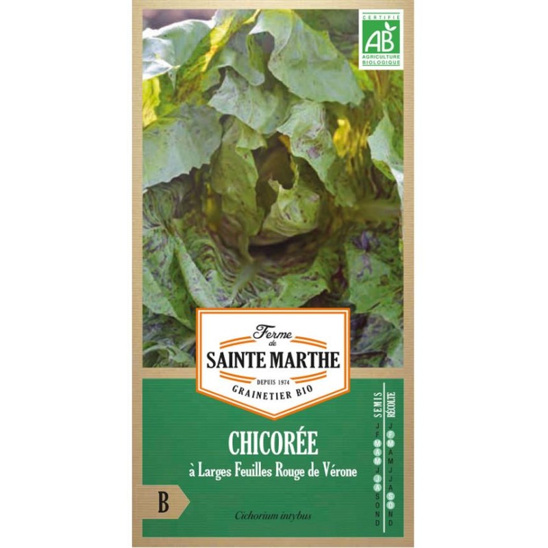 RUBAN DE MÂCHE Vit AB