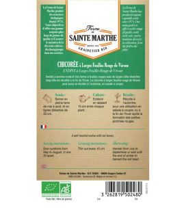 Chicorée à Larges Feuilles Rouge de Vérone - Semences reproductibles bio