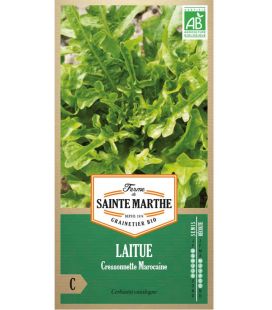 Laitue Cressonette Marocaine - Semences reproductibles bio