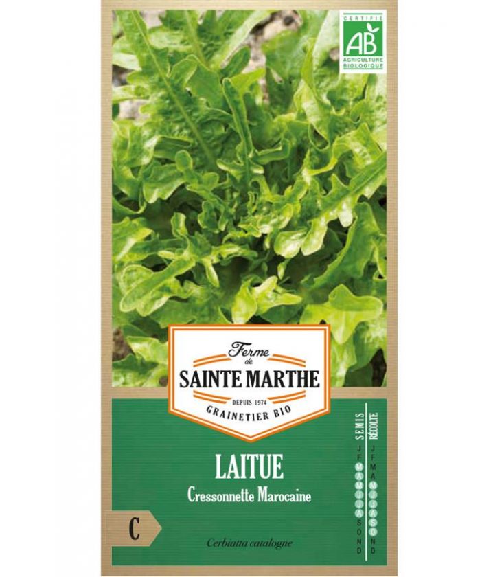 Laitue Cressonette Marocaine - Semences reproductibles bio