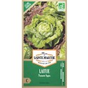 Laitue Pommée Appia - Semences reproductibles bio