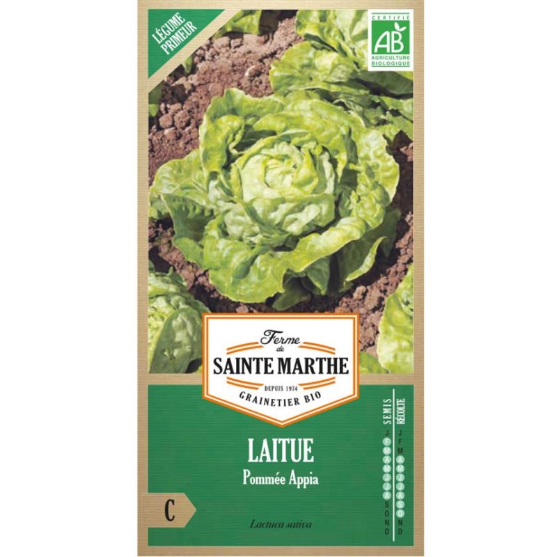 RUBAN DE MÂCHE Vit AB