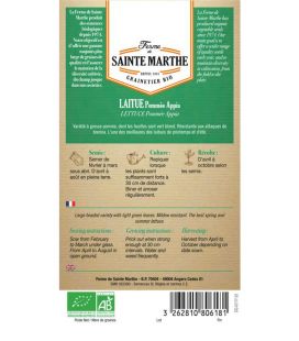 Laitue Pommée Appia - Semences reproductibles bio