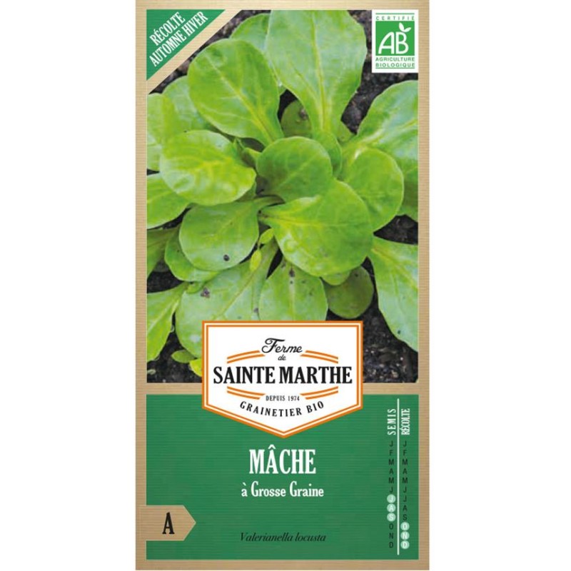 RUBAN DE MÂCHE Vit AB