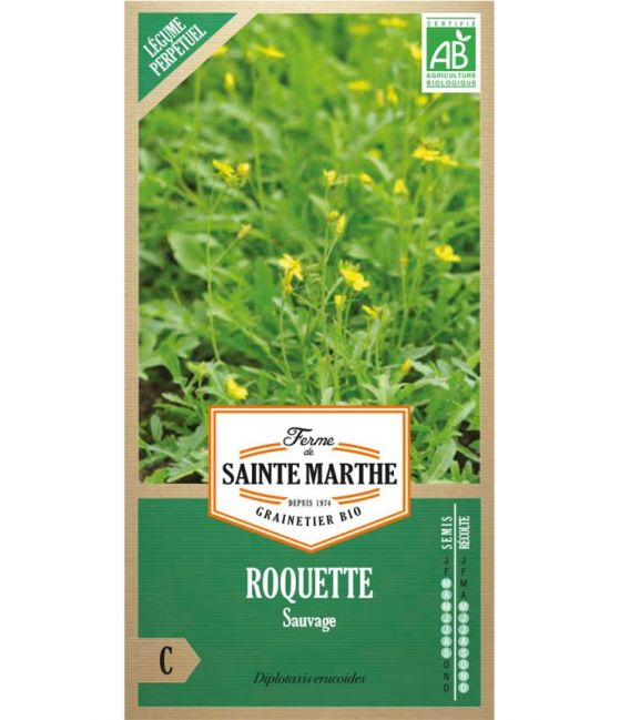 Roquette Sauvage - Semences reproductibles bio