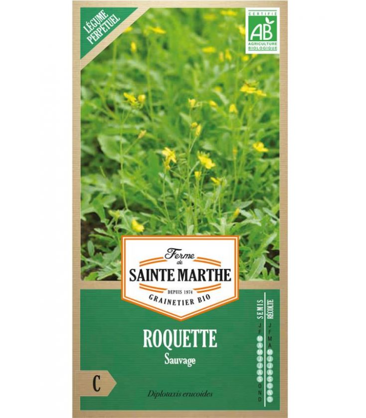 Roquette Sauvage - Semences reproductibles bio