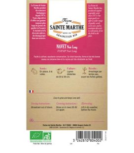 Navet Noir Long - Semences reproductibles bio