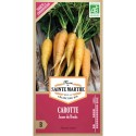 DATE DÉPASSÉE - Carotte Jaune du Doubs - Semences reproductibles bio