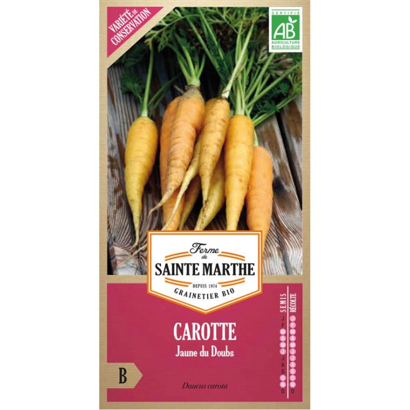 RUBAN DE MÂCHE Vit AB