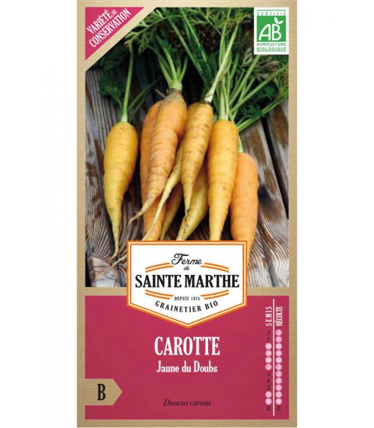 Carotte Jaune du Doubs - Semences reproductibles bio