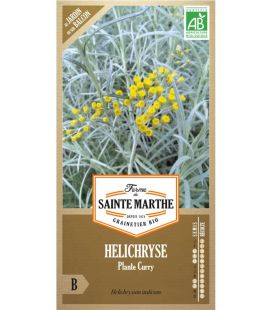 Helichryse Plante Curry - Semences reproductibles bio