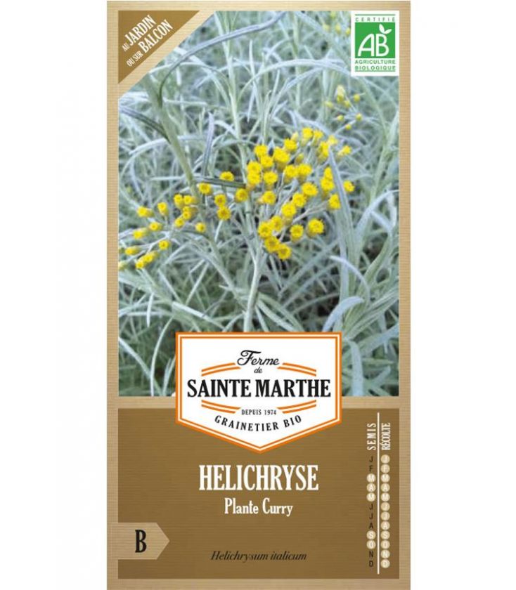 Helichryse Plante Curry - Semences reproductibles bio