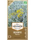 Helichryse Plante Curry - Semences reproductibles bio
