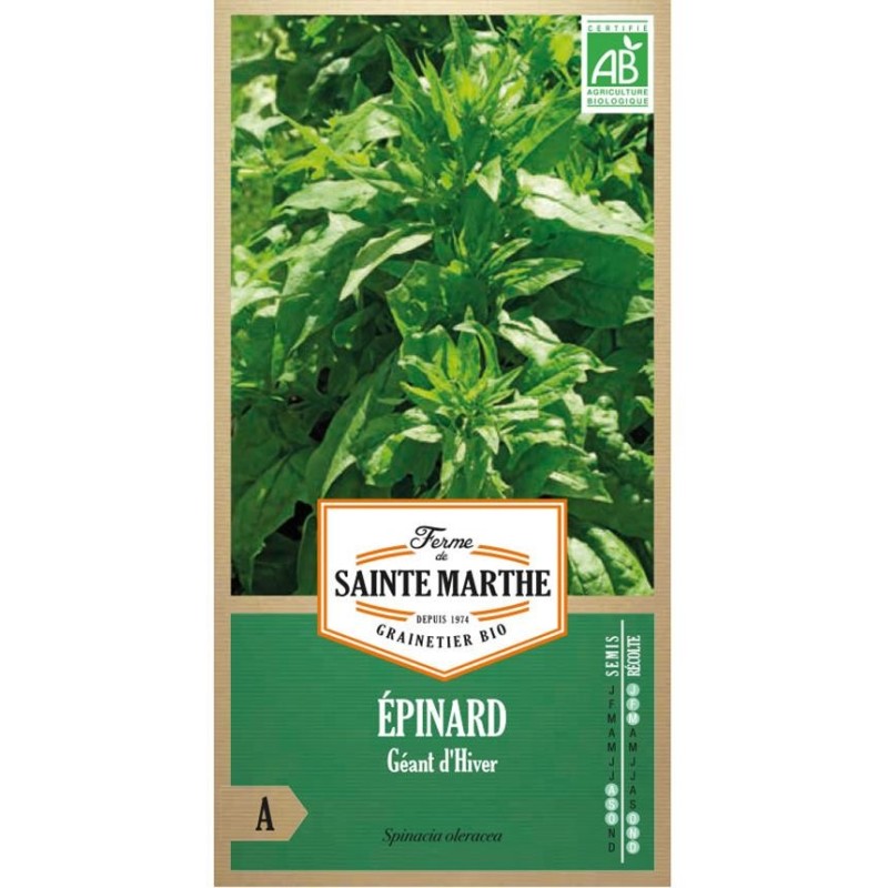 RUBAN DE MÂCHE Vit AB