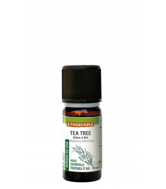 TEA TREE - Afrique du Sud bio & équitable