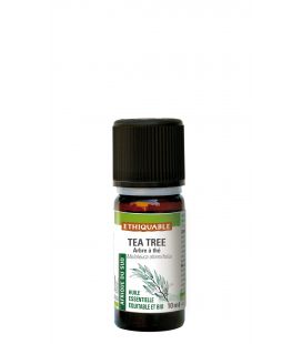 Tea Tree - Huile essentielle bio & équitable