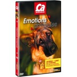 Nos enfants nous accuseront