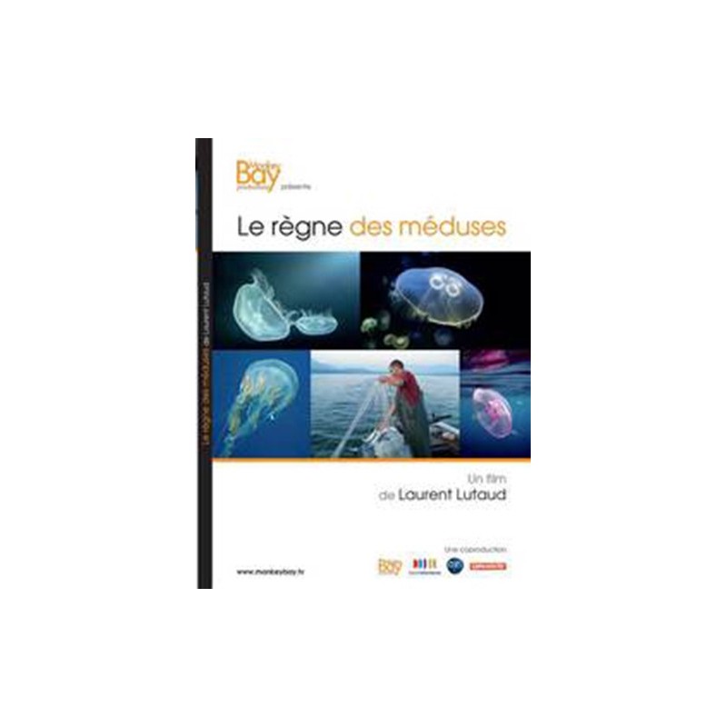 Nos enfants nous accuseront