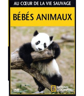 Au Coeur de la Vie Sauvage - Bébés Animaux