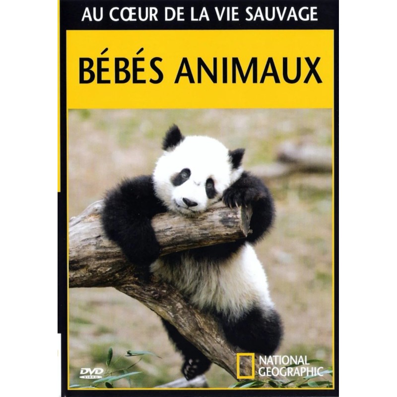 Nos enfants nous accuseront