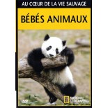 Nos enfants nous accuseront