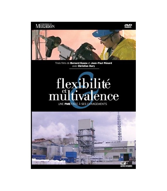 Flexibilité et Multivalence. Le Cas de l'usine Prayon