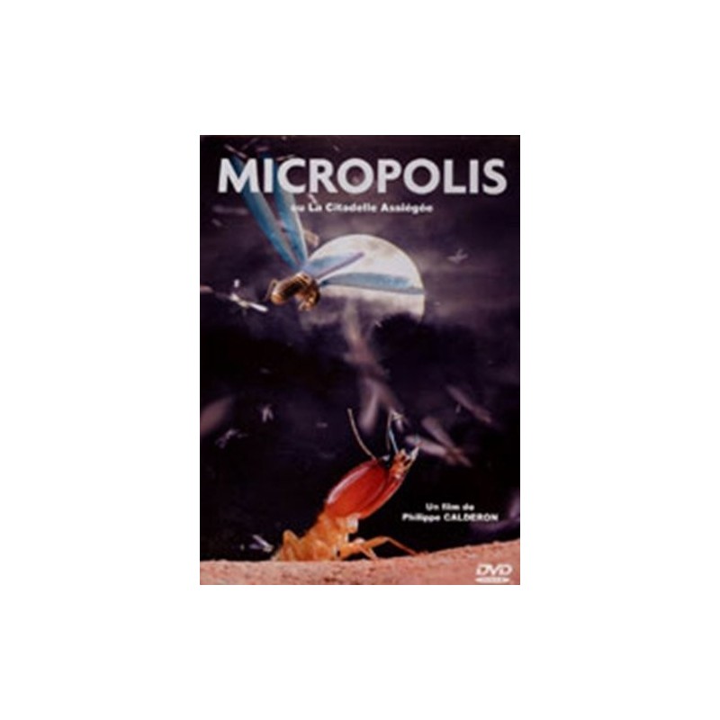 Nos enfants nous accuseront