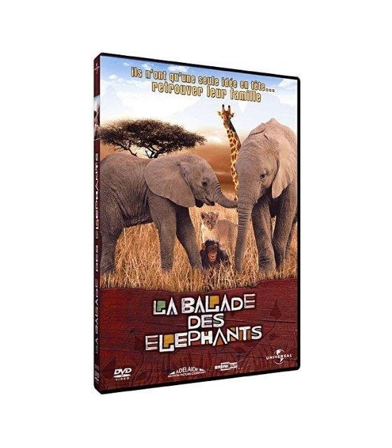 La balade des éléphants