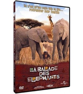 La balade des éléphants