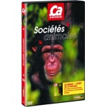 Nos enfants nous accuseront