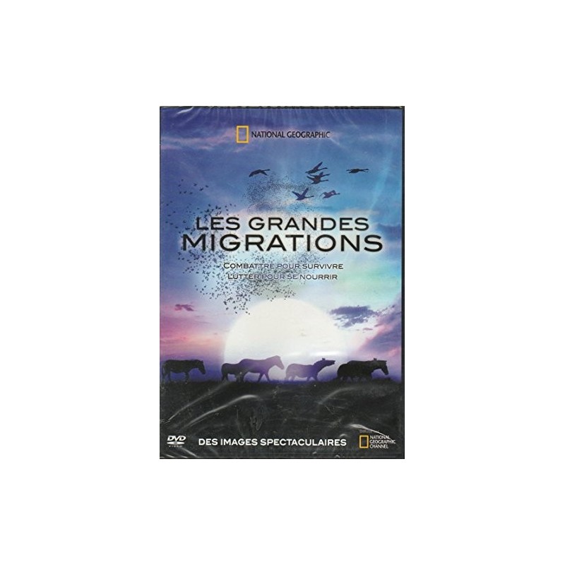 Nos enfants nous accuseront