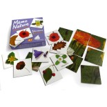 Jeu de 7 familles - le monde des Abeilles