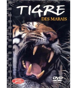TITRE FICHE VIERGE CRÉATION dvd 0.079 g